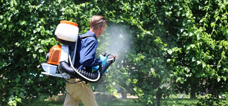 Backyard Mosquito Control Services